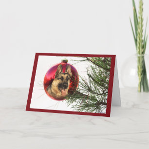 Tysk shepherd jul Boll Hanging2 Helgkort