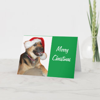 Tysk Shepherd med Jultomten Hat Helgkort