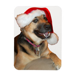 Tysk Shepherd med Jultomten Hat Magnet