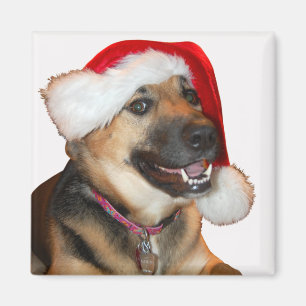 Tysk Shepherd med Jultomten Hat Magnet