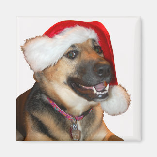 Tysk Shepherd med Jultomten Hat Magnet