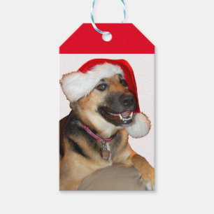 Tysk Shepherd med Jultomten Hat Presentetikett
