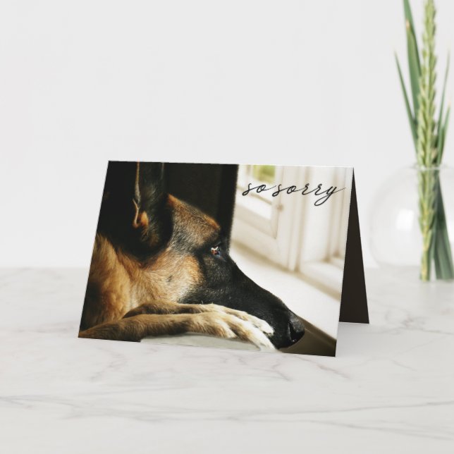 Tysk shepherd Pet Loss Sympathy Kort (Framsida)