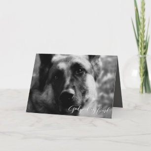 Tysk shepherd Pet Loss Sympathy Kort