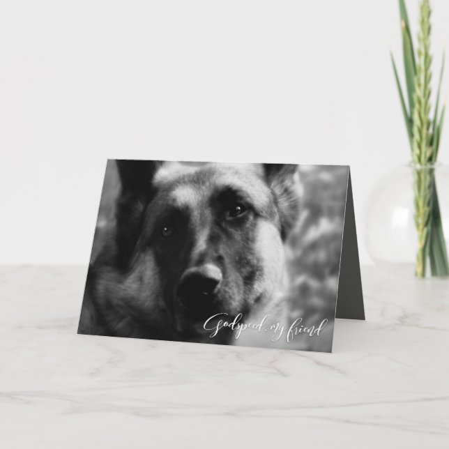 Tysk shepherd Pet Loss Sympathy Kort (Framsida)