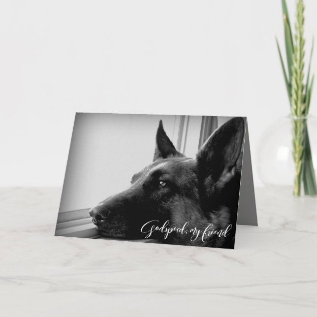 Tysk shepherd Pet Loss Sympathy Kort (Framsida)