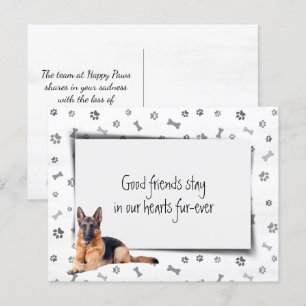 Tysk Shepherd Pet Sympathy Loss Vykort