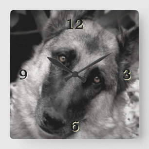 Tysk Shepherd Photo Wall Clock Fyrkantig Klocka