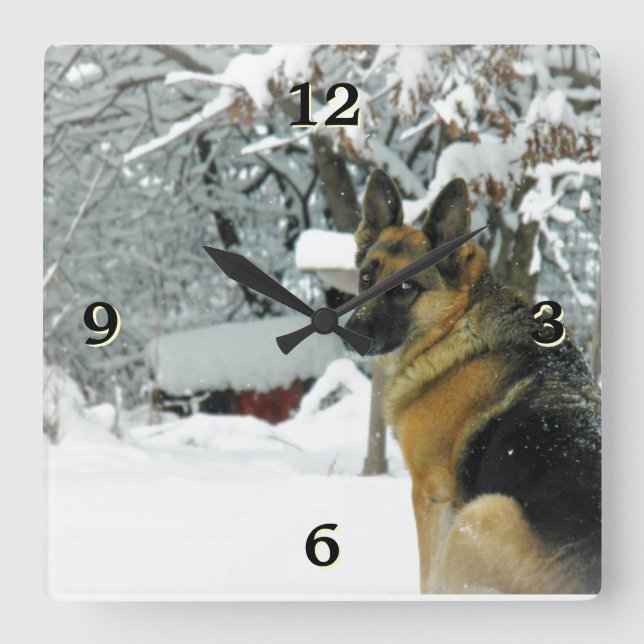 Tysk Shepherd Photo Wall Clock Fyrkantig Klocka (Framsida)