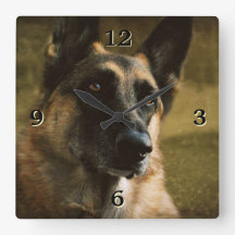 Tysk Shepherd Photo Wall Clock
