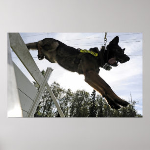 Tysk Shepherd Police Hund Poster