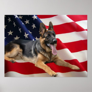 Tysk Shepherd Print Poster