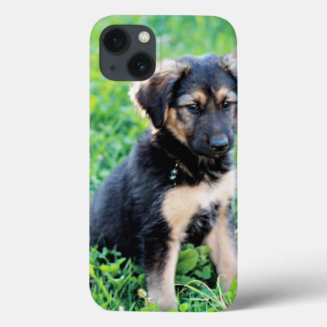 Tysk Shepherd Puppy (Baksida)
