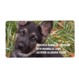 Tysk Shepherd Puppy Adress Sticker Fraktsedel