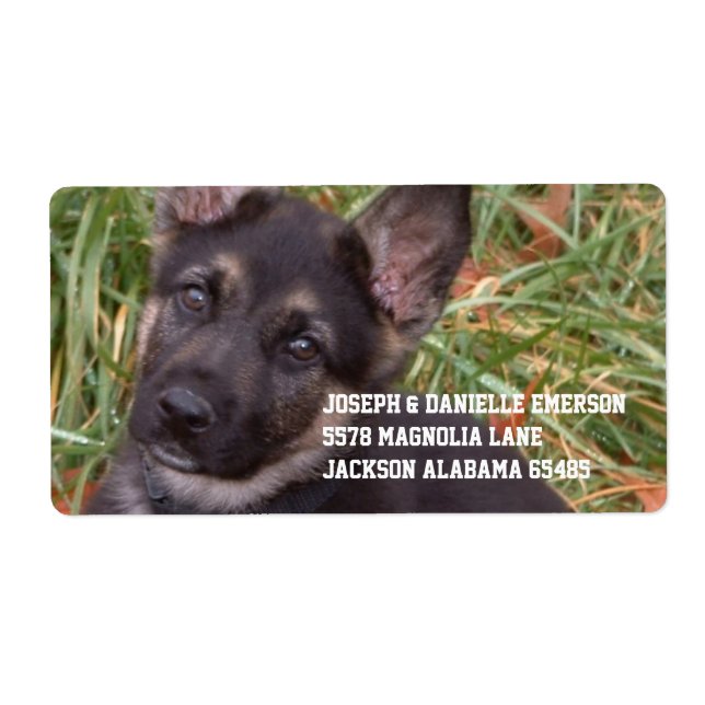 Tysk Shepherd Puppy Adress Sticker Fraktsedel (Framsidan)