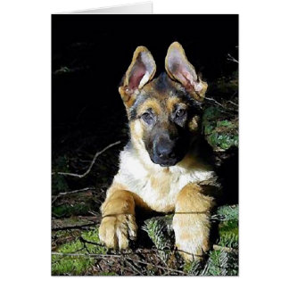 Tysk-Shepherd Puppy Hälsningskort