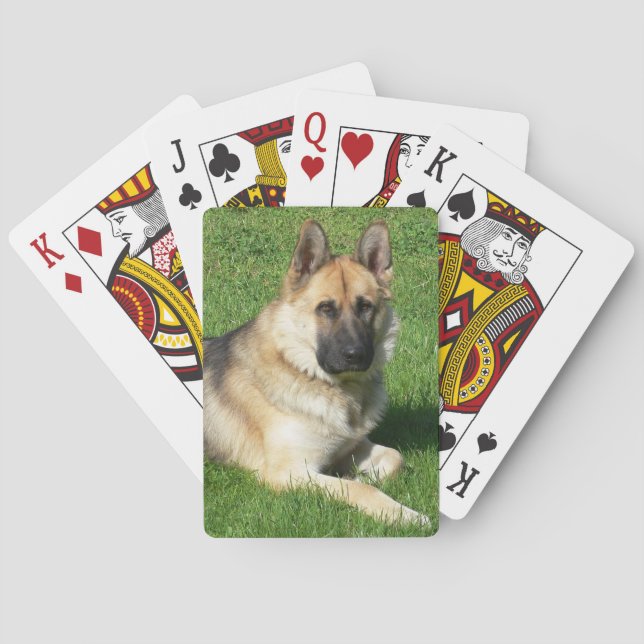 Tysk Shepherd Puppy Hund Casinokort (Baksidan)