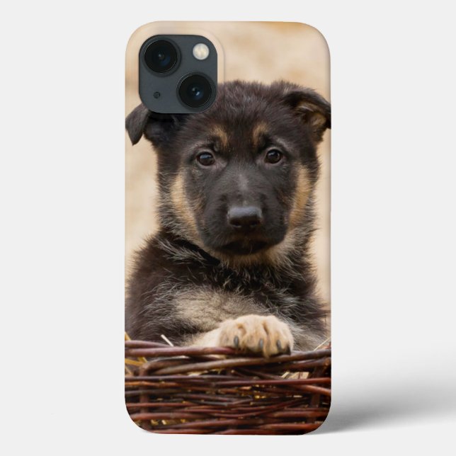 Tysk shepherd Puppy i Basket (Baksida)