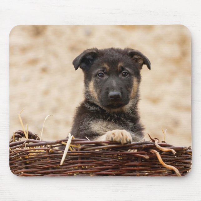 Tysk shepherd Puppy i Basket Musmatta (Framsidan)