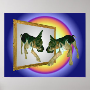 Tysk shepherd Puppy i Spegel Poster
