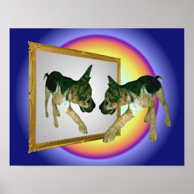 Tysk shepherd Puppy i Spegel Poster (Framsidan)