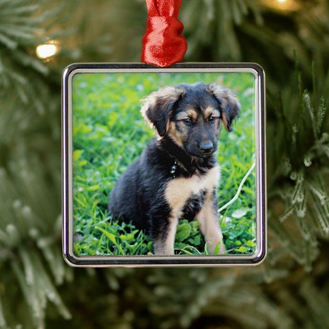 Tysk Shepherd Puppy Julgransprydnad Metall (Träd)