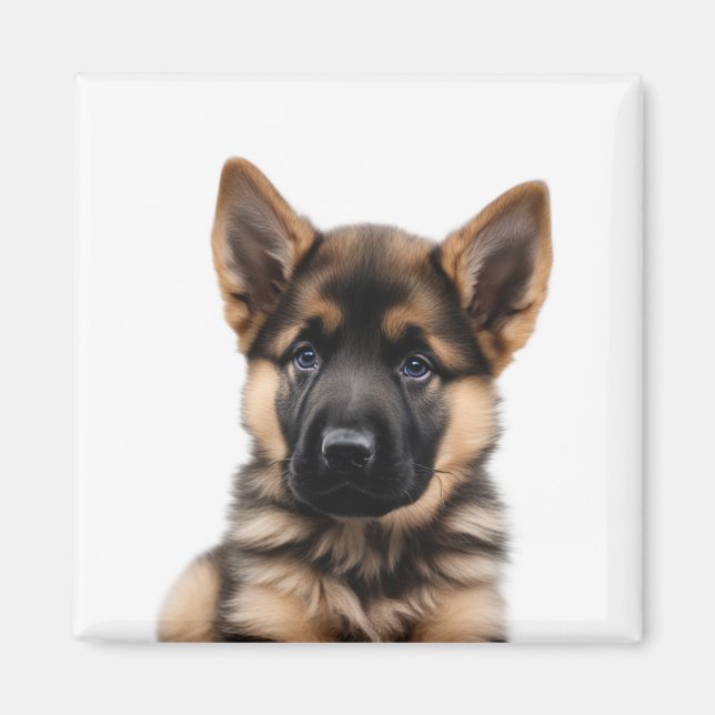 Tysk Shepherd Puppy Magnet (Framsidan)