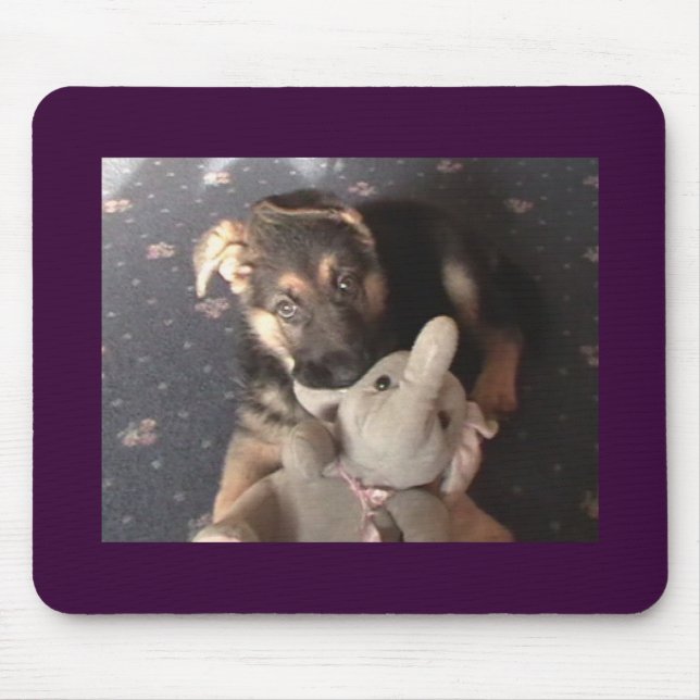 Tysk Shepherd Puppy Musmatta (Framsidan)