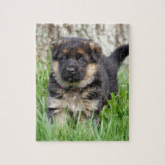 Tysk Shepherd Puppy Pussel