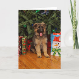 Tysk shepherd puppy vid jul helgkort