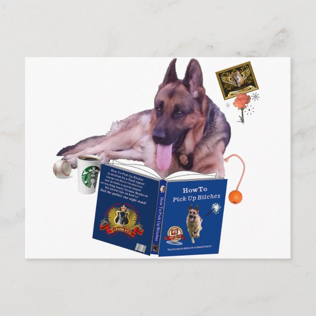 Tysk shepherd Reading Bok Vykort (Framsida)