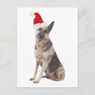 Tysk Shepherd Santa Hat Helg Vykort