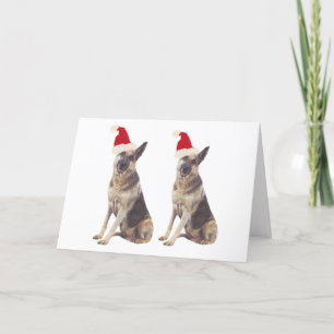 Tysk Shepherd Santa Hat Helgkort