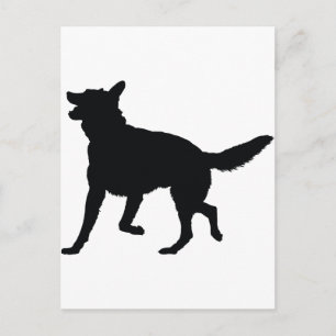 Tysk Shepherd Silhouette Vykort