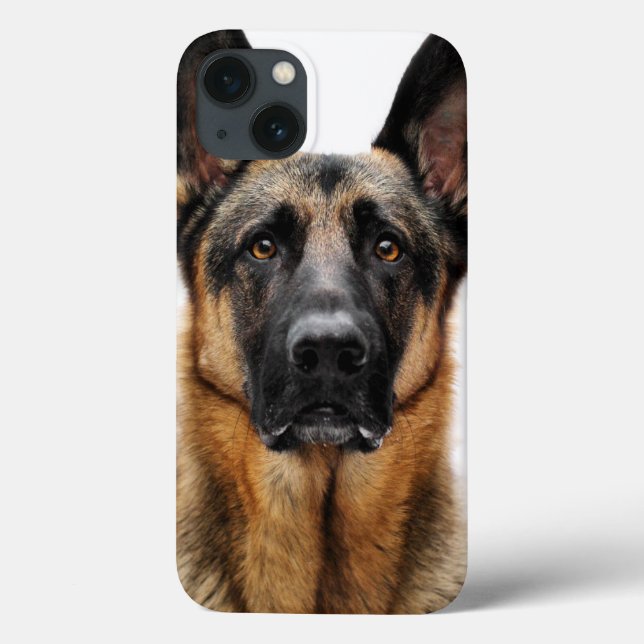 Tysk Shepherd Sitta Up (Baksida)