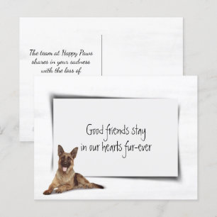Tysk shepherd Sympathy Pet Loss Vykort