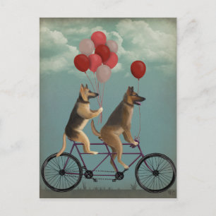 Tysk Shepherd Tandem Vykort