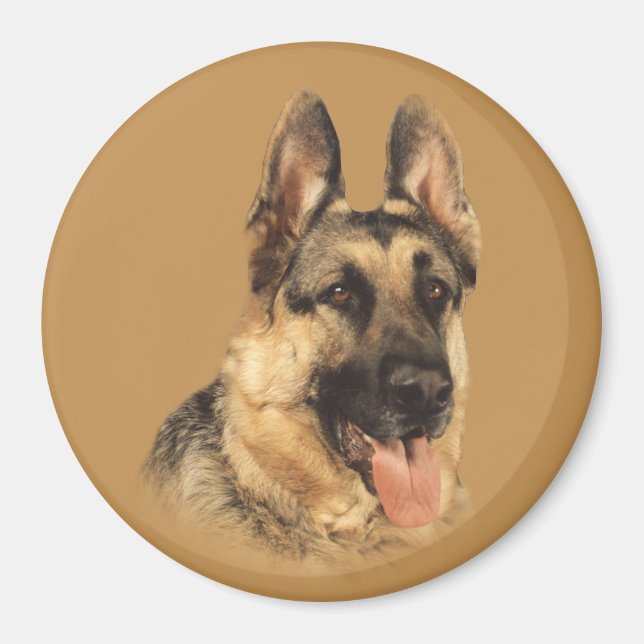 Tysk Shepherd Väldigt Handsome Magnet (Framsidan)