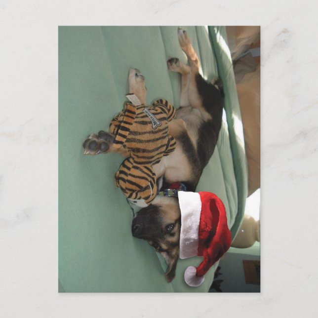 Tysk Shepherd-Valp med Santa Hat Helg Vykort (Framsida)