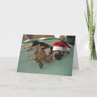 Tysk Shepherd-Valp med Santa Hat Helgkort