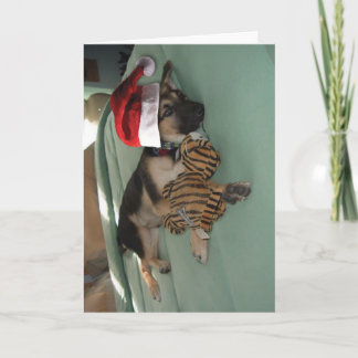 Tysk Shepherd-Valp med Santa Hat Helgkort