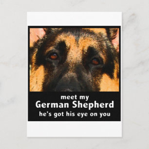 Tysk shepherd vykort