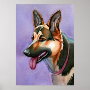 Tysk Shepherd Watercolor Porträtt Poster