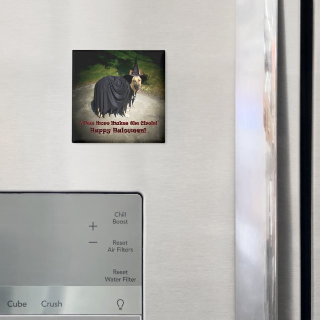 Tysk Shepherd Witch Hund Magnet (In Situ (Fridge))