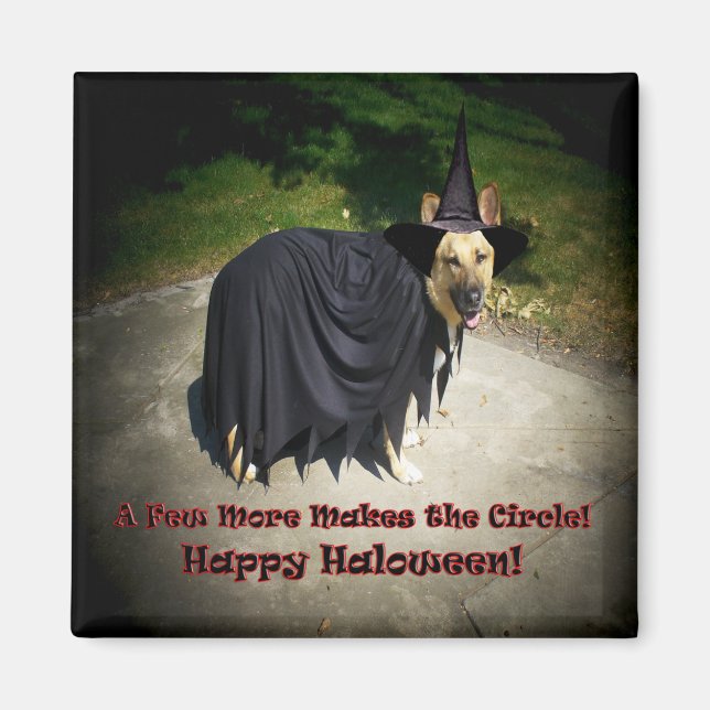 Tysk Shepherd Witch Hund Magnet (Framsidan)