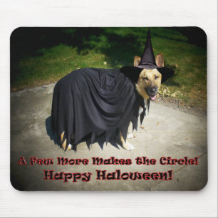 Tysk Shepherd Witch Hund Musmatta