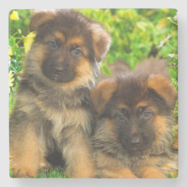 Tysk shepherds stenunderlägg