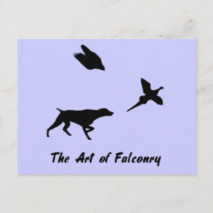 Tysk Shorthair Pointer och Falconry Postcard Vykort