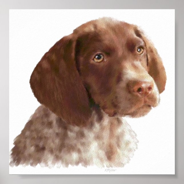 Tysk Shorthair Puppy Poster (Framsidan)