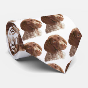 Tysk Shorthair Puppy Slips